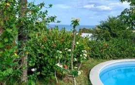 Villa Madiblue piscine et vue mer