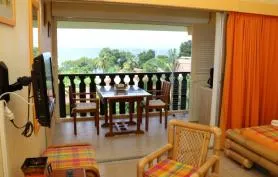 Studio meublé  3210 Grenadine avec grande  terrasse vue mer panoramique de face  à vous couper le souffle