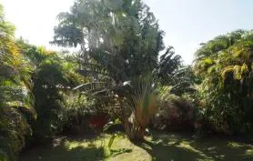Logement avec jardin tropical dans le bourg 